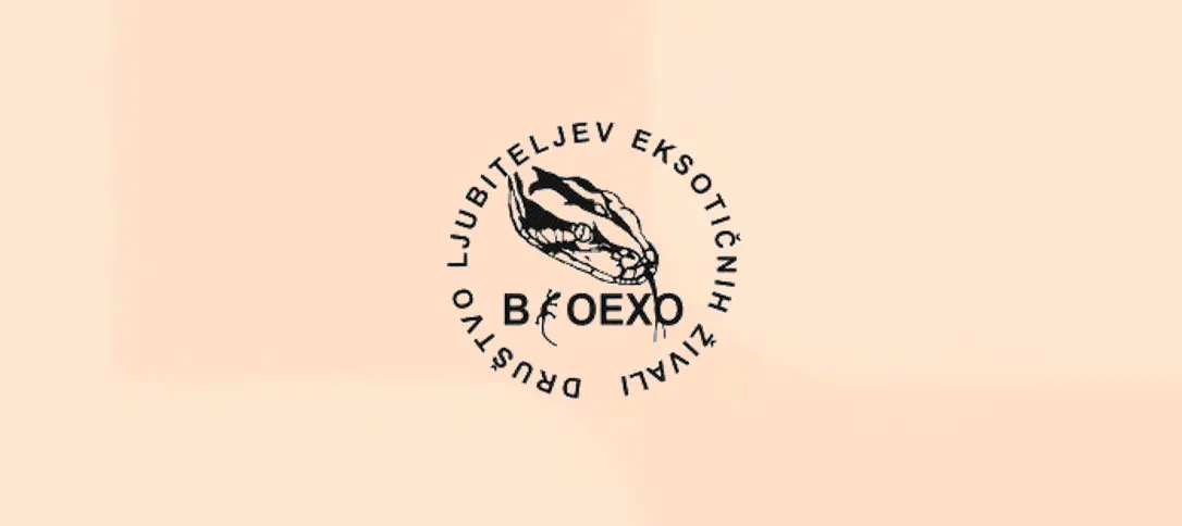 Bioexo 2026