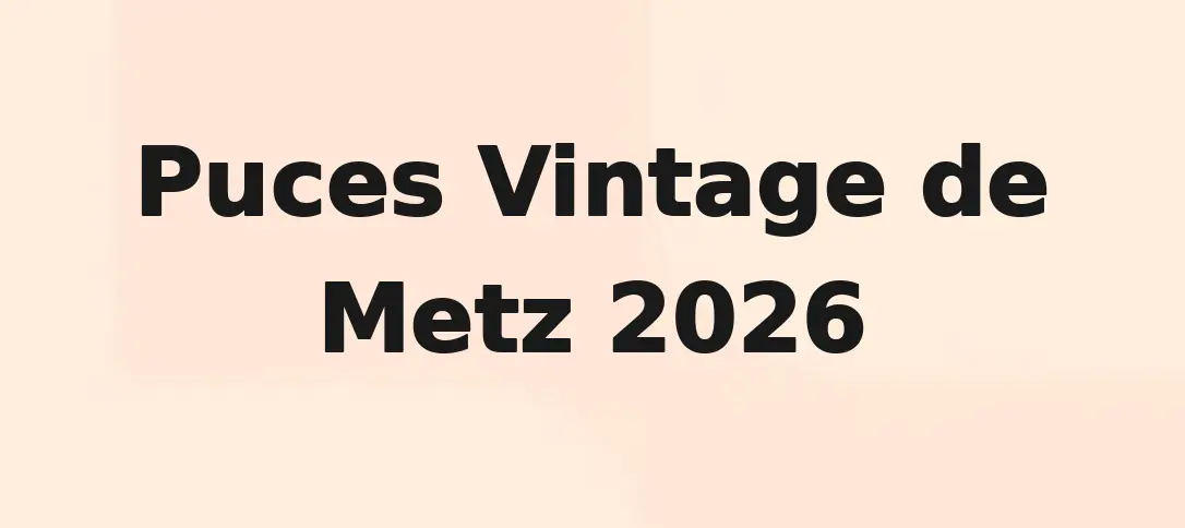 Puces Vintage de Metz 2026